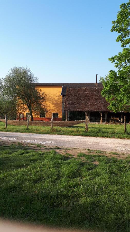 La Maison Du Potier Proche De Guedelon Saint-Amand-en-Puisaye ภายนอก รูปภาพ